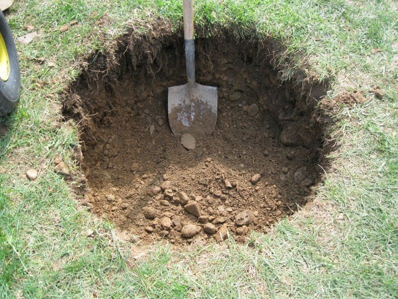 Hole in the Ground Sells for $5 Million at Art Basel