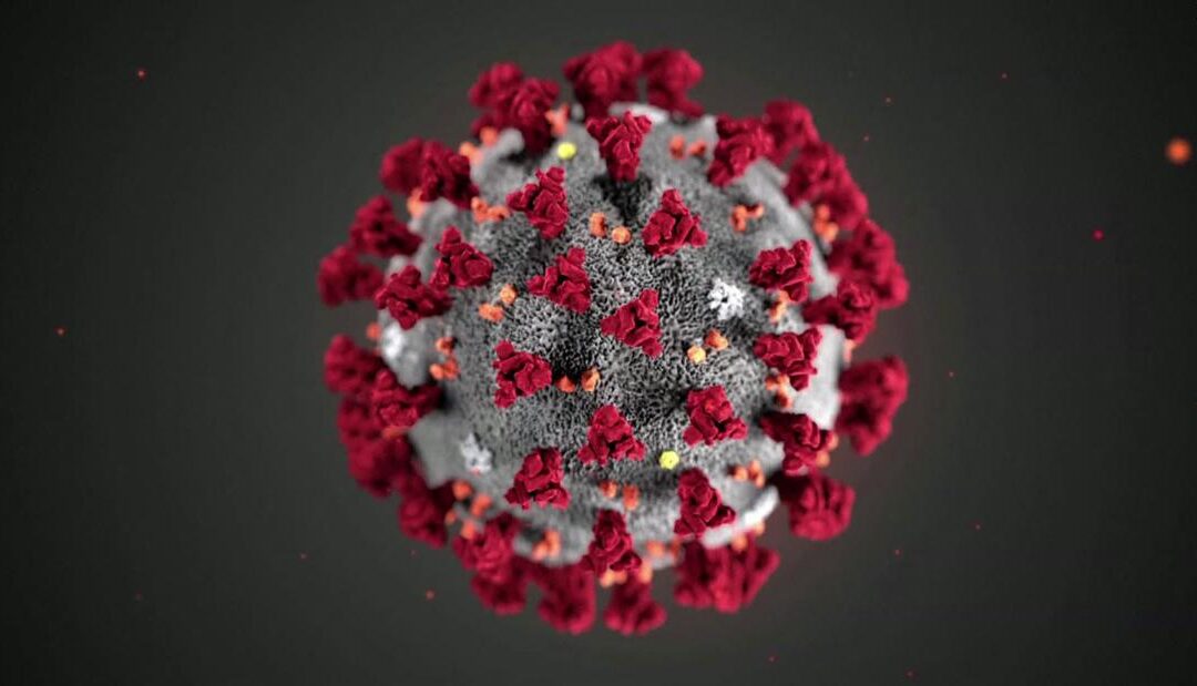 An Open Letter to Coronavirus from Miami