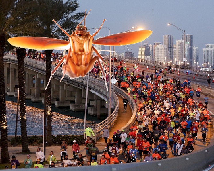 Miami Marathon Runners are Just Running from a Flying Cockroach