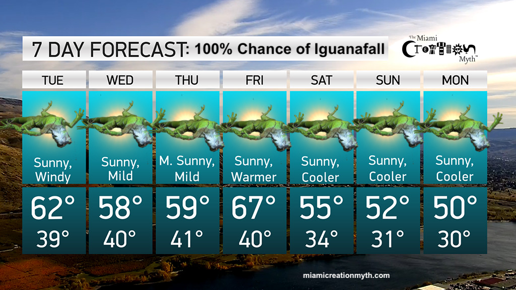 Florida Weather Forecast Calls for a 100% Chance of Iguanafall