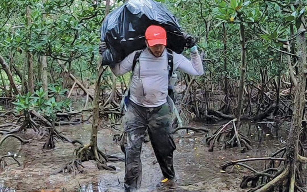 Why I Clean Miami’s Mangroves